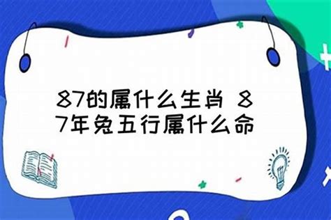 属兔五行属什么|属兔五行属什么？探寻属兔人的五行属性